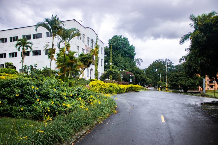 Campus libre de humo