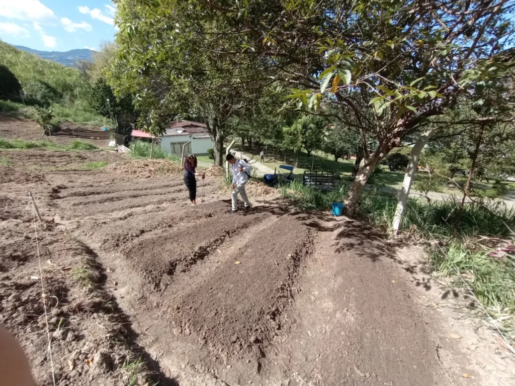 Huerta en la UNAC: Estudiantes arando y trabajando la tierra en el terreno